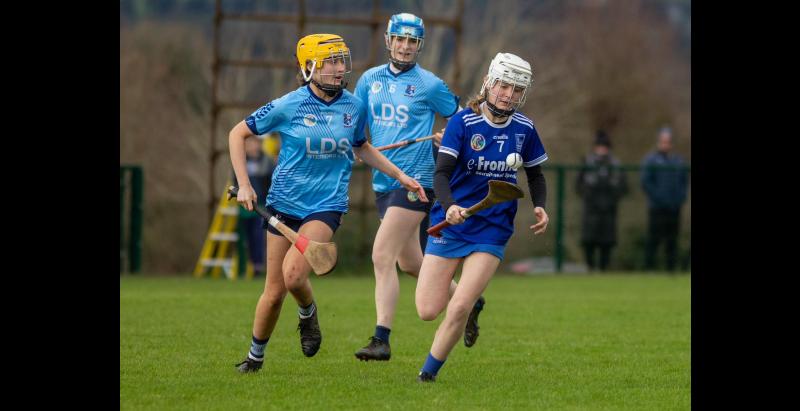 Great wins for Thurles Sarsfields and Drom & Inch  in minor camogie county finals
