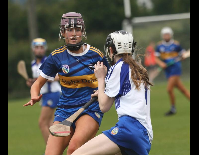Tipp U16's impress in victory over Waterford