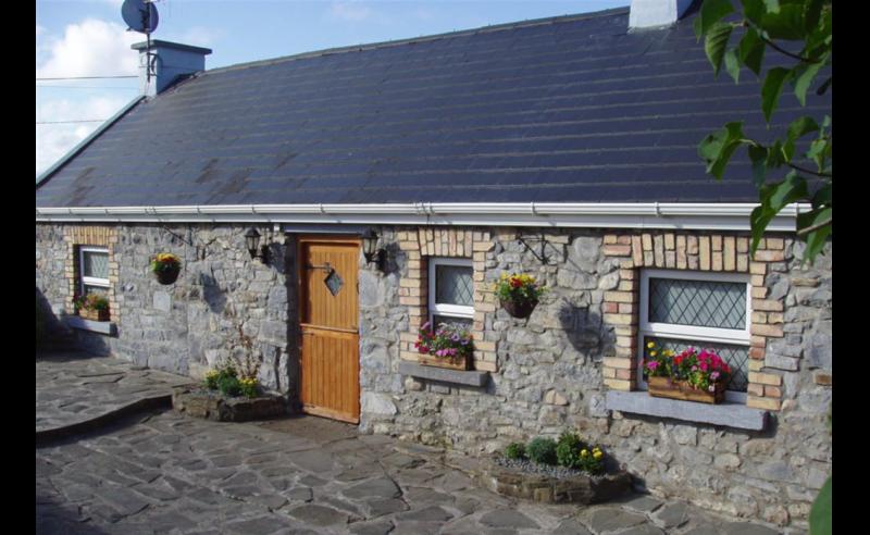 PROPERTY: Quaint cottage with picturesque views available to buy outside Nenagh
