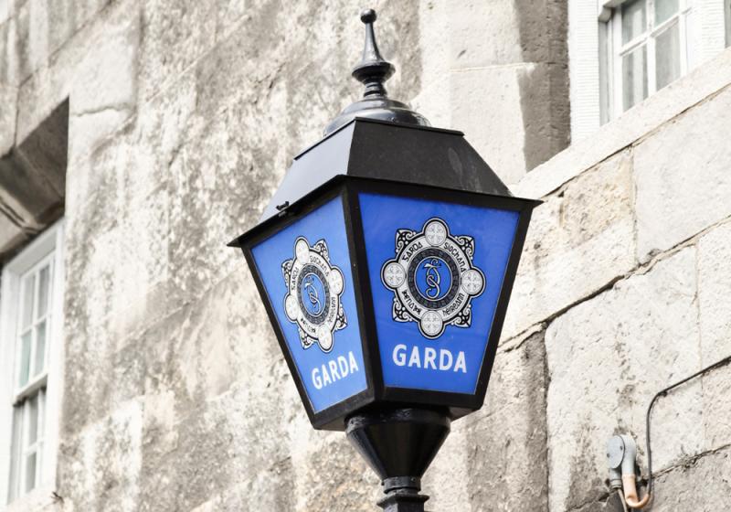 Gardaí arrest two teens following burglary at a business premises