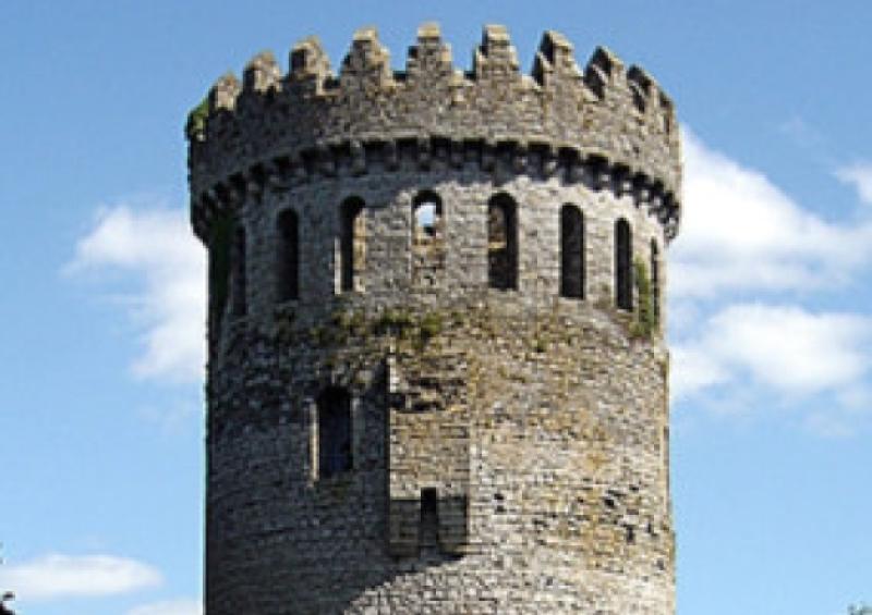 WELL DONE: Nenagh takes first place in its category at All-Ireland Pride of Place awards