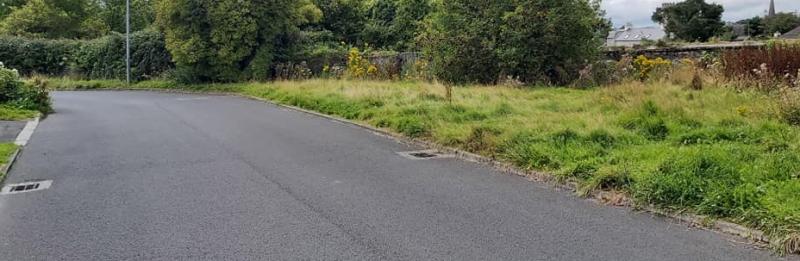 Tipperary County Council urges residents to reconsider not paying their grass cutting fees