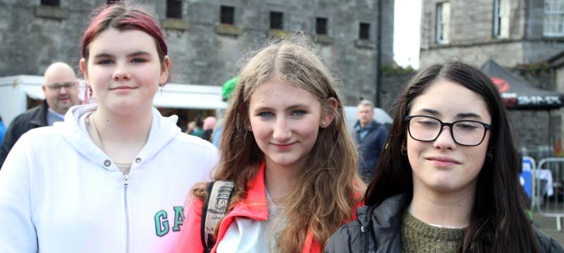 The sky was the limit for the brave souls at Nenagh's St Patrick's Day festivities