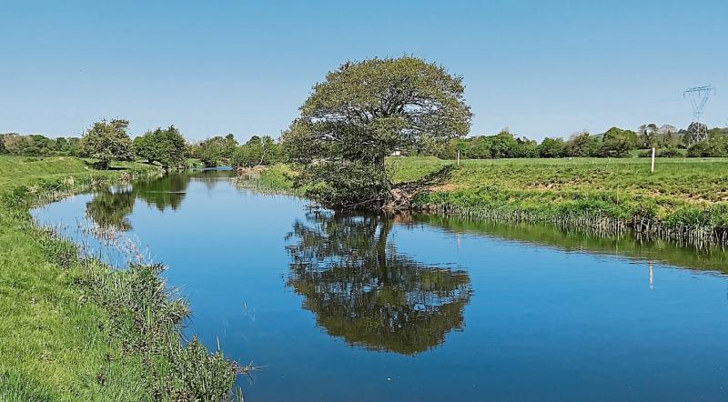 Ballycommon waste water treatment plant to have its sludge removal increased by one third