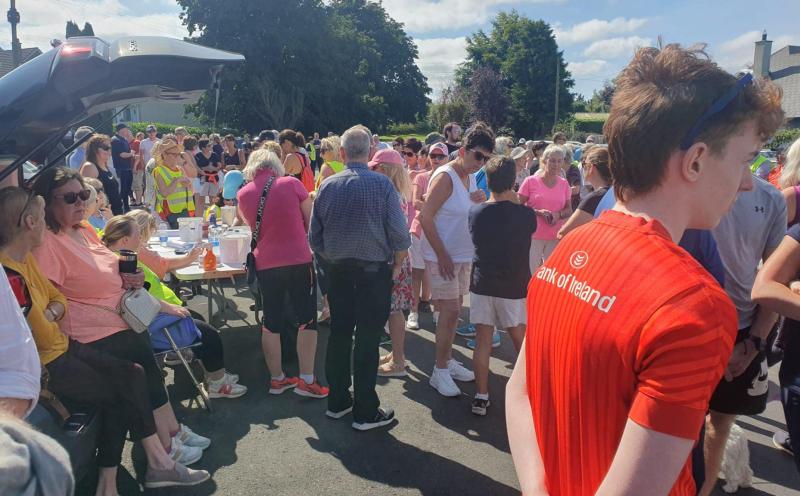 Memorial walk for Nenagh's Deirdre Ryan raises huge amount for cancer support service