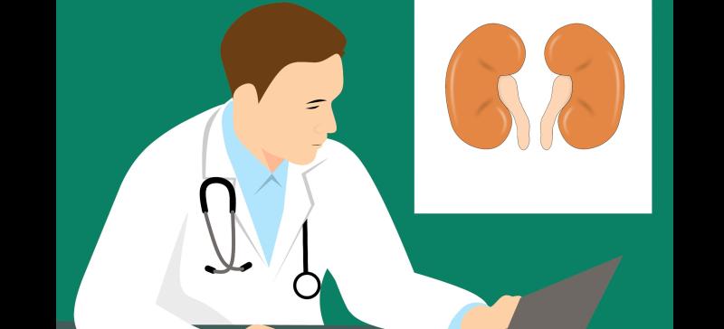 HSE marks World Kidney Day with advice on spotting the signs of Chronic Kidney Disease