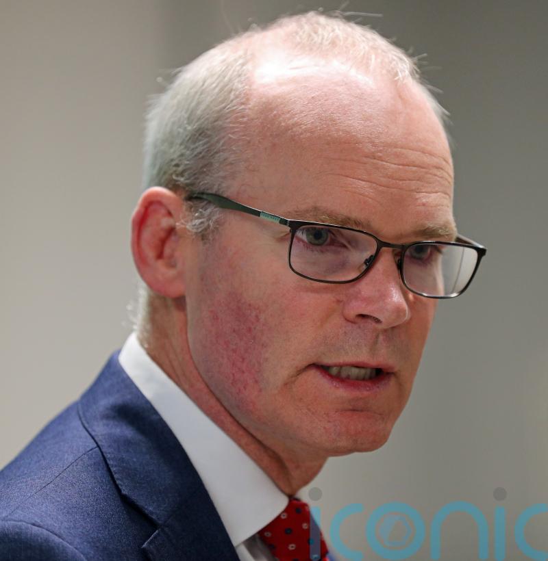 Up to 50,000 homes a year needed to meet demand, minister admits