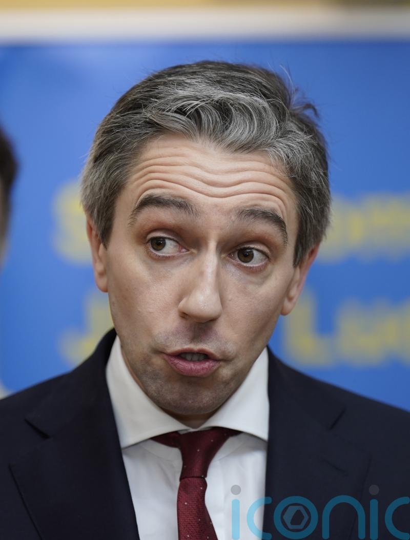 Taoiseach says &lsquo;careful consideration&rsquo; must be given to review of abortion laws