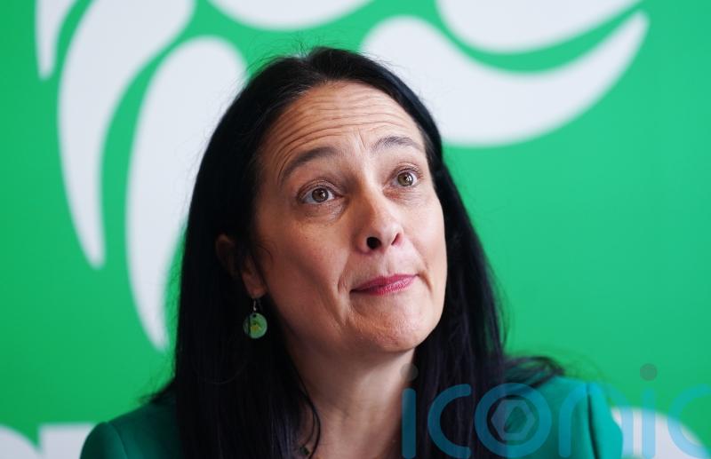 Catherine Martin refuses to rule out running for Green leadership after election