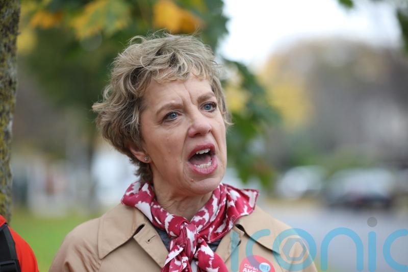 Labour party member at risk of expulsion over Bacik leak