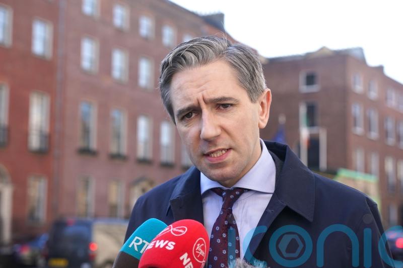 EU must work ‘in measured fashion’ in face of tariffs – Irish deputy premier