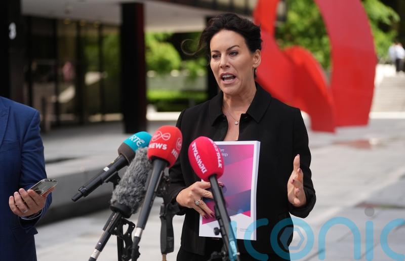 Health minister says claims by children’s hospital contractor ‘not credible’