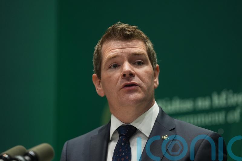 Funding offered to help establish up to four new flour mills in Ireland